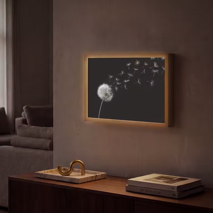 Paardenbloem - Zwart - Natuur Light Box met batterij (Wandlamp) middel -sfeer1