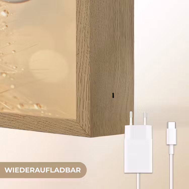 Paardenbloem - Water - Natuur - Planten - Modern Light Box met batterij (Wandlamp) middel -USP_websiteoplaadbaarDE