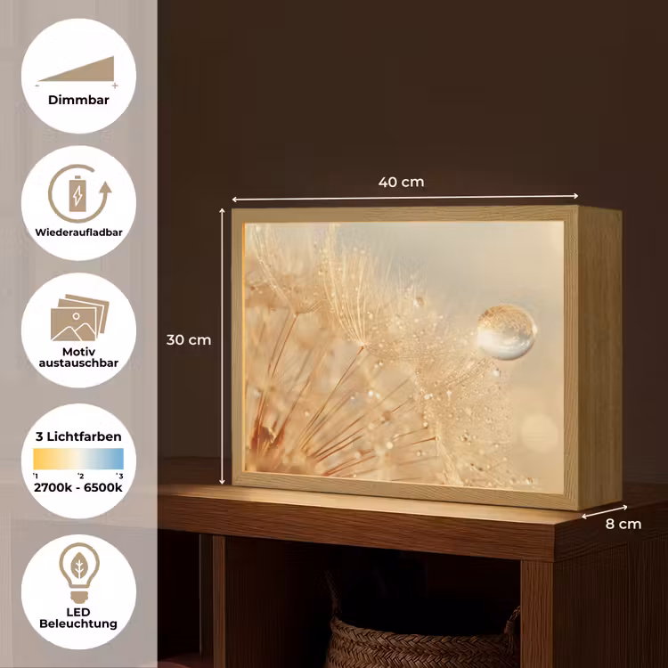 Paardenbloem - Water - Natuur - Planten - Modern Light Box met batterij (Wandlamp) middel -USP_websiteoverzichtDE