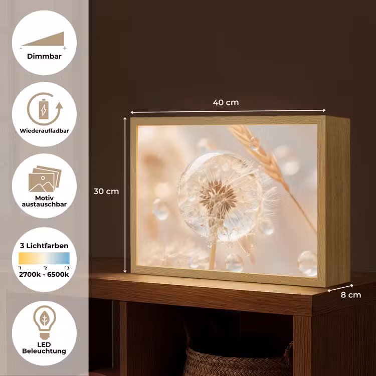 Paardenbloem - Water - Natuur - Stilleven - Modern Light Box met batterij (Wandlamp) middel -USP_websiteoverzichtDE