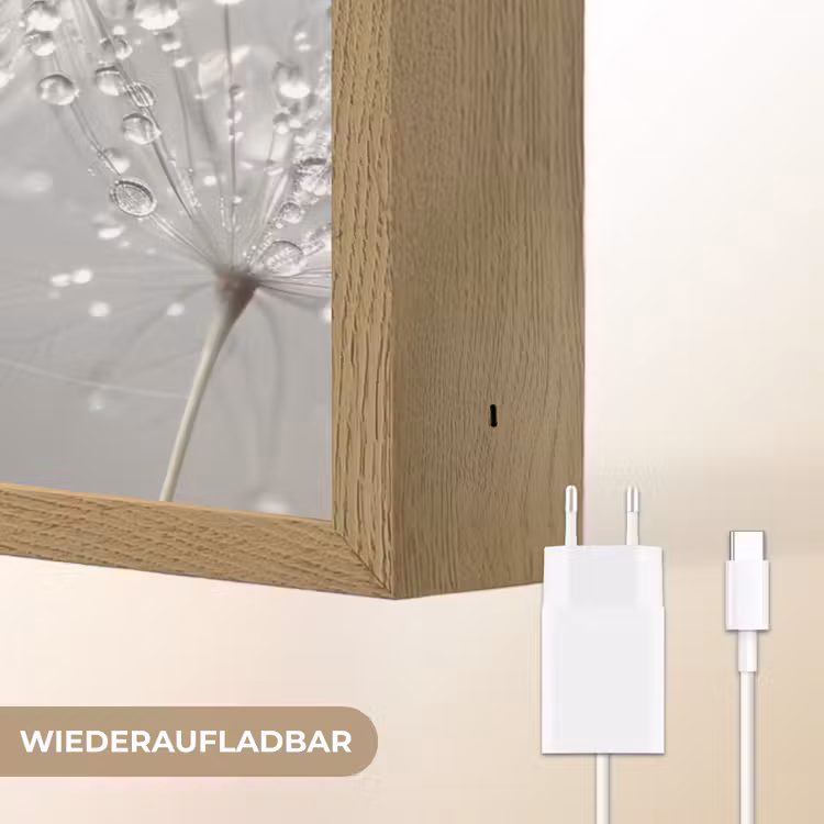 Paardenbloem - Waterdruppels - Stilleven - Modern Light Box met batterij (Wandlamp) middel -USP_websiteoplaadbaarDE