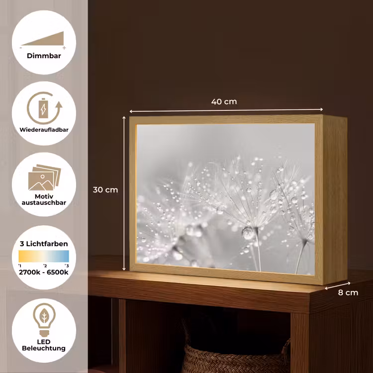 Paardenbloem - Waterdruppels - Stilleven - Modern Light Box met batterij (Wandlamp) middel -USP_websiteoverzichtDE