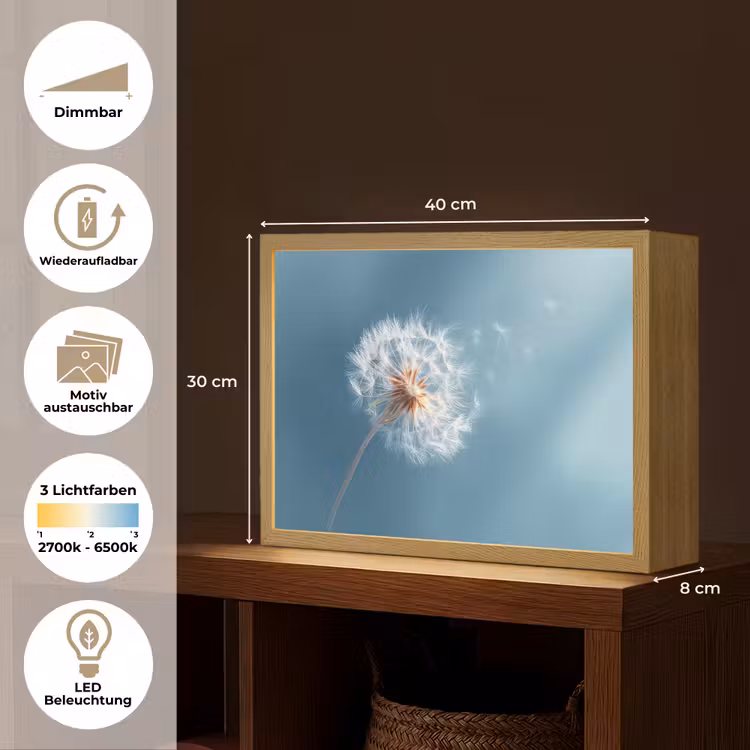 Paardenbloem - Wind - Blauw Light Box met batterij (Wandlamp) middel -USP_websiteoverzichtDE