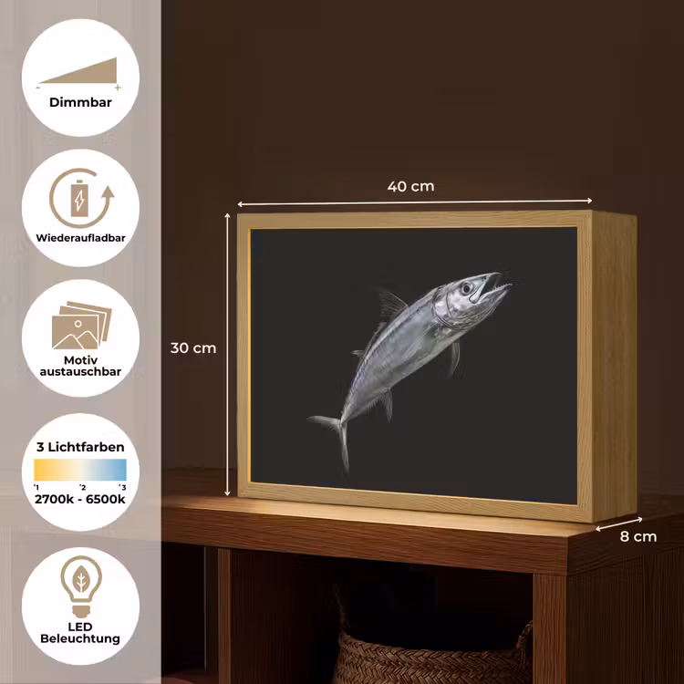 Makreel - Vis - Zwart Light Box met batterij (Wandlamp) middel -USP_websiteoverzichtDE