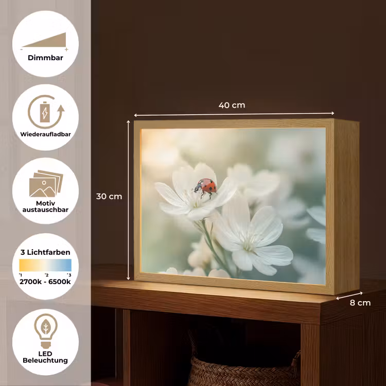 Lieveheersbeestje - Bloemen - Wit Light Box met batterij (Wandlamp) middel -USP_websiteoverzichtDE