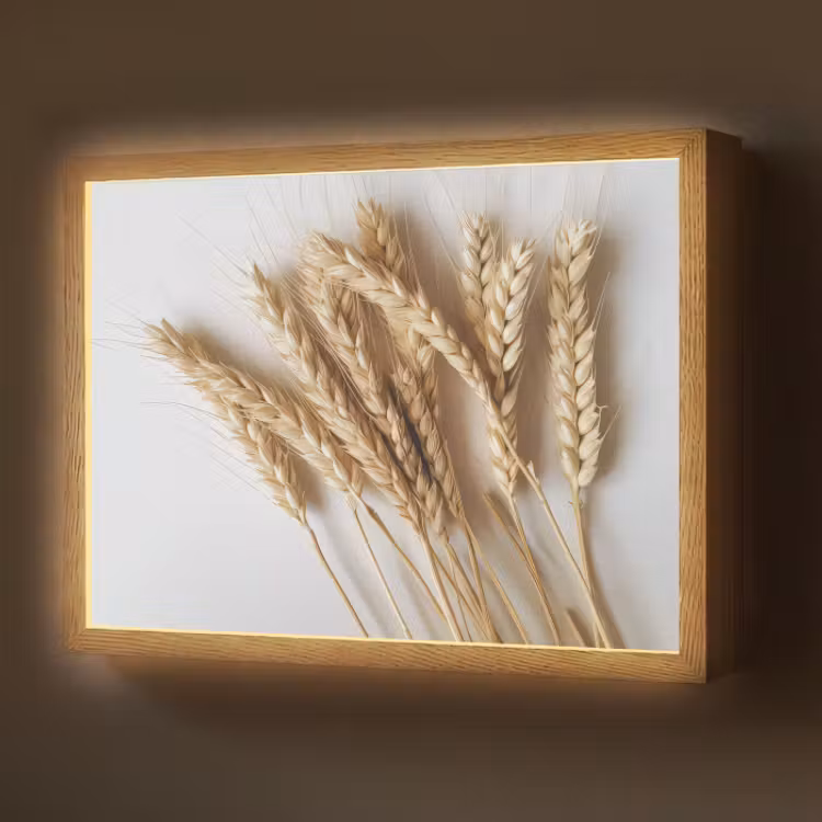 naturals-desenio-ferrari-ai-oyois22qgifrna164-3-light-box-met-batterij-wandlamp-middel-z3d-website.jpg