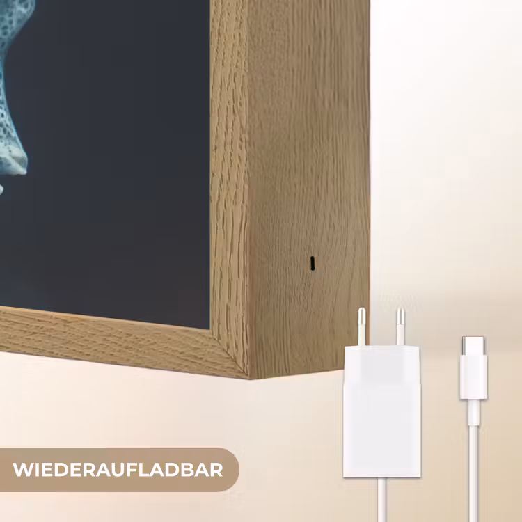 Zeewezen - Wit - Golven - Water Light Box met batterij (Wandlamp) middel -USP_websiteoplaadbaarDE