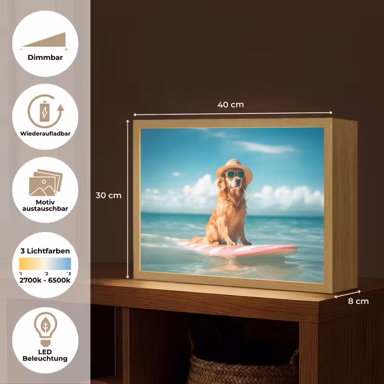 Zeewater - Hond - Golden retriever - Zonnebril Light Box met batterij (Wandlamp) middel -USP_websiteoverzichtDE