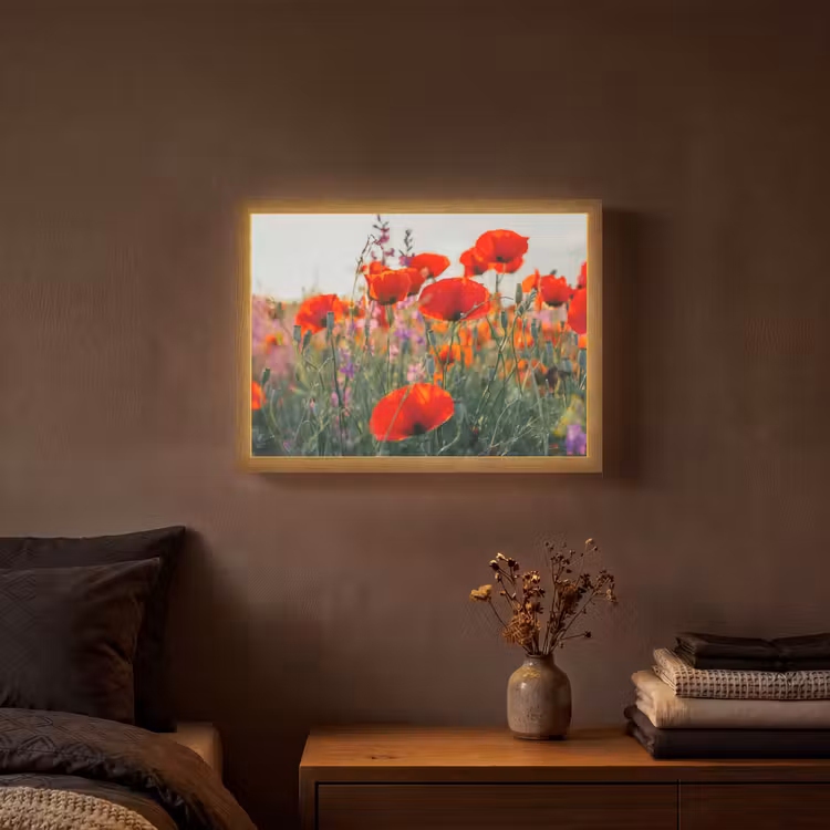 Klaproos - Bloemen - Rood - Paars - Weide Light Box met batterij (Wandlamp) middel -sfeer4