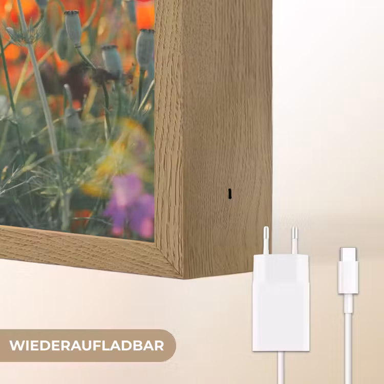 Klaproos - Bloemen - Rood - Paars - Weide Light Box met batterij (Wandlamp) middel -USP_websiteoplaadbaarDE