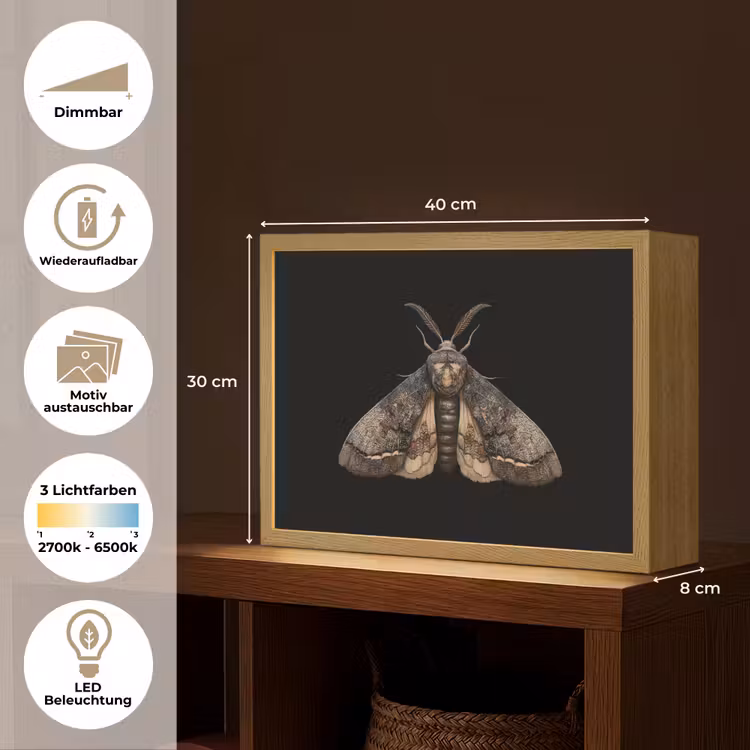 Mot - Bladachtig - Grijs Light Box met batterij (Wandlamp) middel -USP_websiteoverzichtDE
