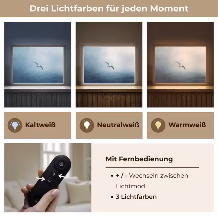 Meeuw - Wit - Zee - Mistig Light Box met batterij (Wandlamp) middel -USP_lichtkleurDE