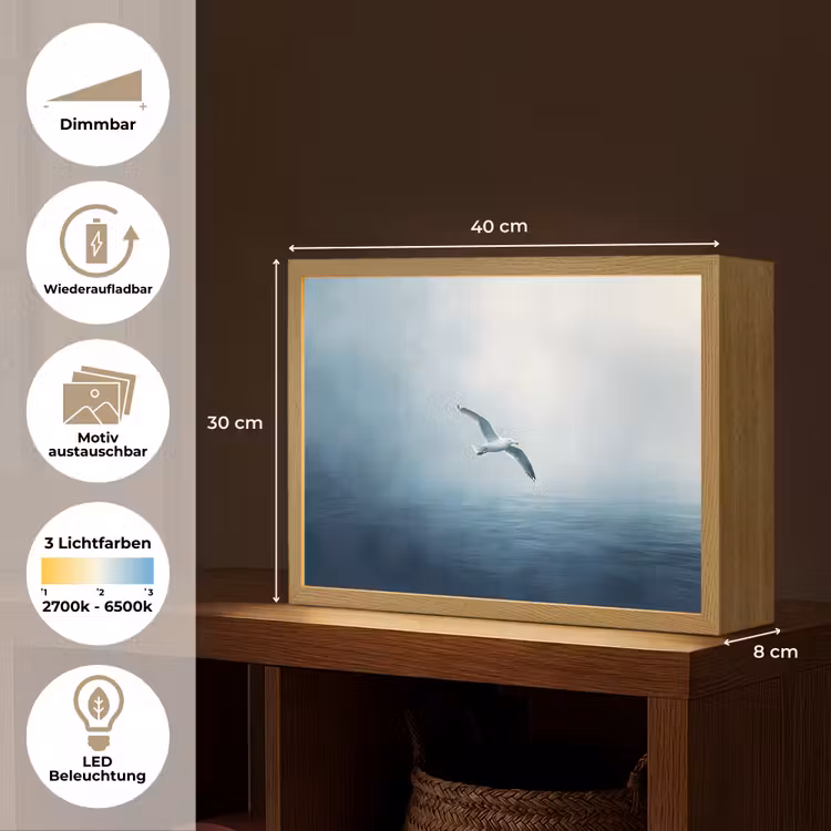 Meeuw - Wit - Zee - Mistig Light Box met batterij (Wandlamp) middel -USP_websiteoverzichtDE