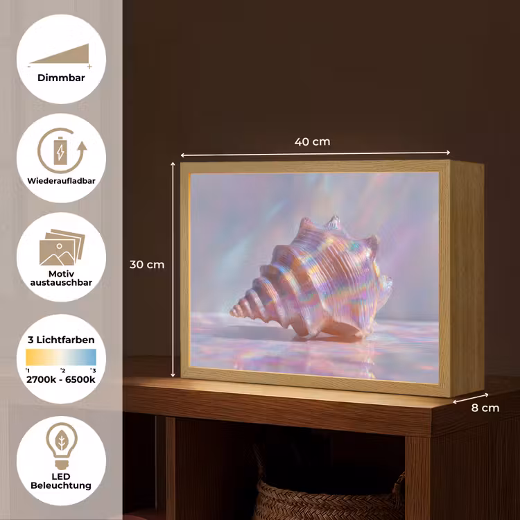 Schelp - Glanzend - Regenboogtinten Light Box met batterij (Wandlamp) middel -USP_websiteoverzichtDE