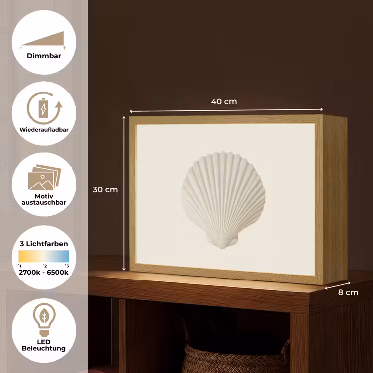Schelp - Minimalistisch - Wit Light Box met batterij (Wandlamp) middel -USP_websiteoverzichtDE