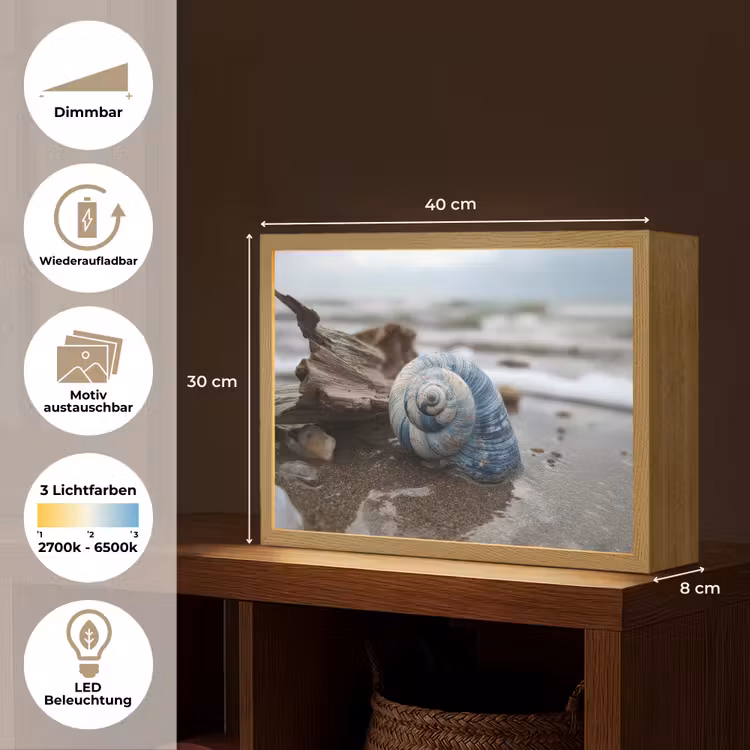 Schelp - Strand - Blauw - Zee Light Box met batterij (Wandlamp) middel -USP_websiteoverzichtDE