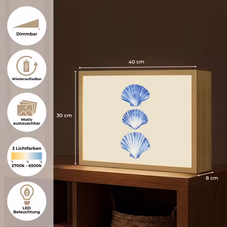 Schelpen - Blauw - Beige Light Box met batterij (Wandlamp) middel -USP_websiteoverzichtDE
