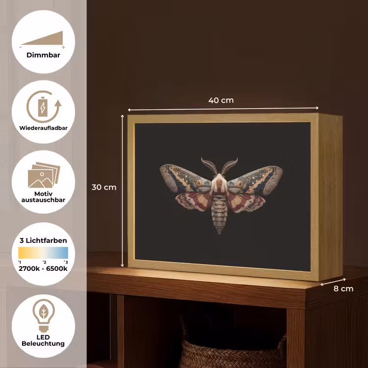 Mot - Oosterse patronen - Sierlijk Light Box met batterij (Wandlamp) middel -USP_websiteoverzichtDE