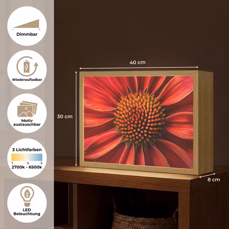 Close up - Bloem- Rood Light Box met batterij (Wandlamp) middel -USP_websiteoverzichtDE