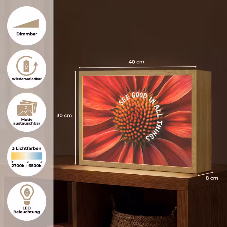 Close up - Bloem - Quote - Rood Light Box met batterij (Wandlamp) middel -USP_websiteoverzichtDE