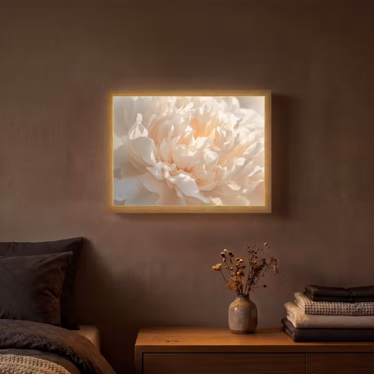 Close up - Pioenroos - Lichtroze Light Box met batterij (Wandlamp) middel -sfeer4