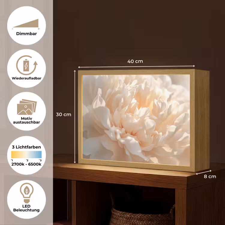 Close up - Pioenroos - Lichtroze Light Box met batterij (Wandlamp) middel -USP_websiteoverzichtDE