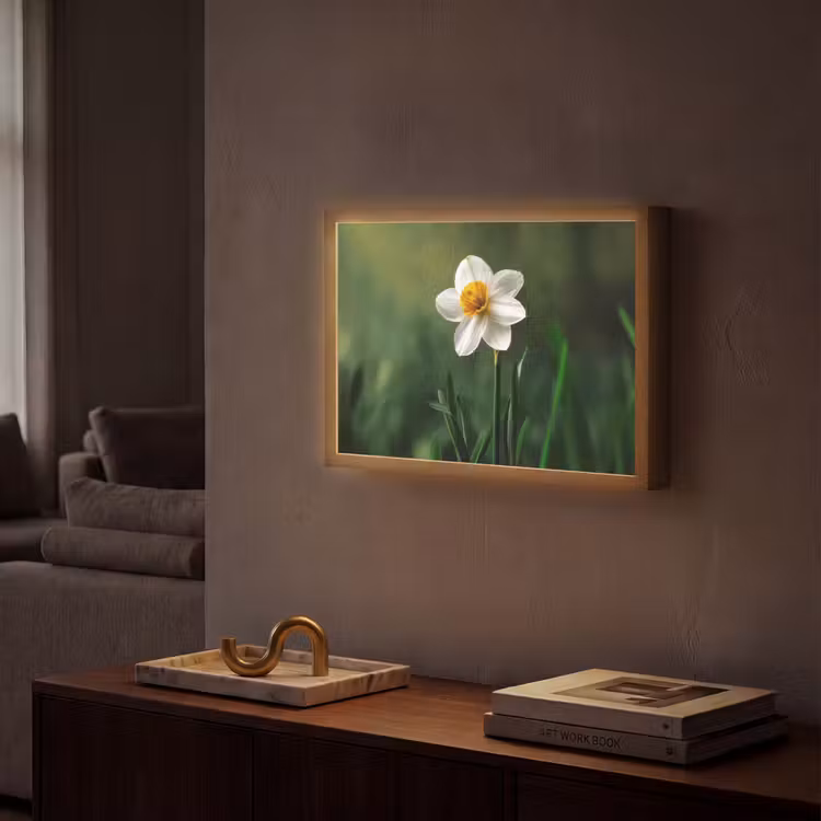 Narcis - Bloem - Wit - Grassprieten Light Box met batterij (Wandlamp) middel -sfeer1