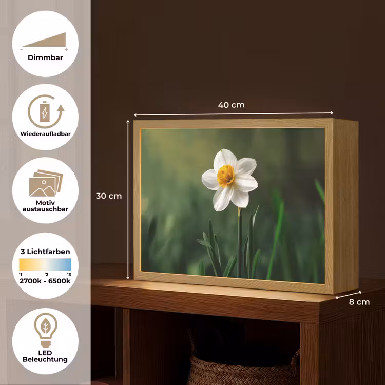Narcis - Bloem - Wit - Grassprieten Light Box met batterij (Wandlamp) middel -USP_websiteoverzichtDE