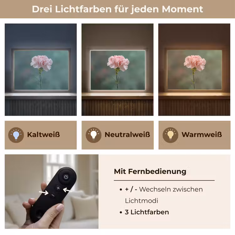 Anjer - Roze - Bloemblaadjes Light Box met batterij (Wandlamp) middel -USP_lichtkleurDE