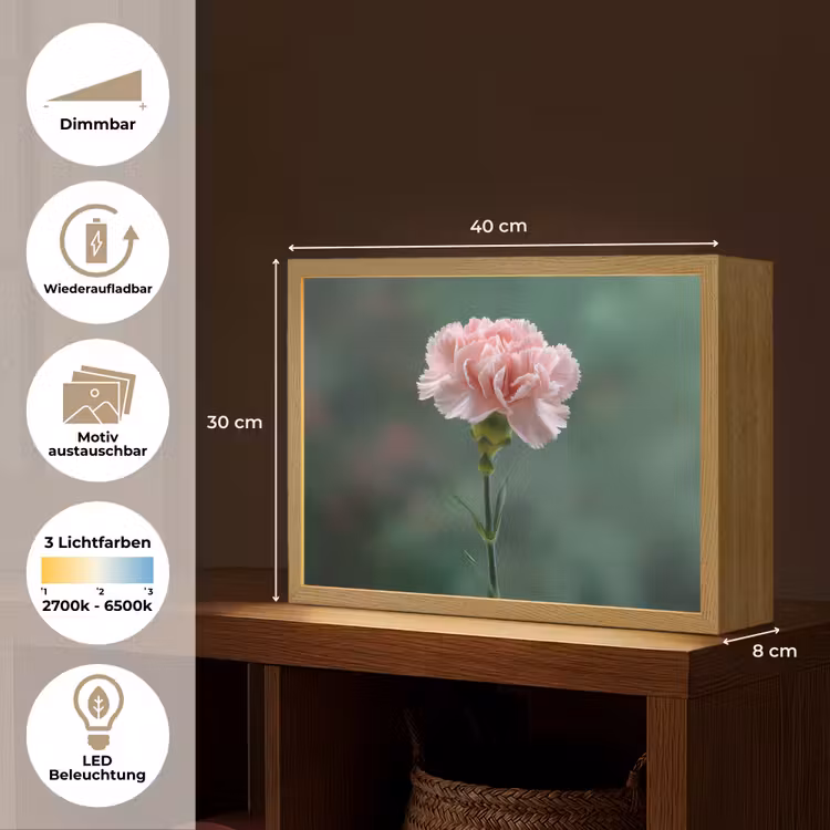 Anjer - Roze - Bloemblaadjes Light Box met batterij (Wandlamp) middel -USP_websiteoverzichtDE