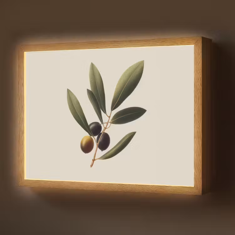Olijftak - Donkergroen - Olijven Light Box met batterij (Wandlamp) middel -z3d_website