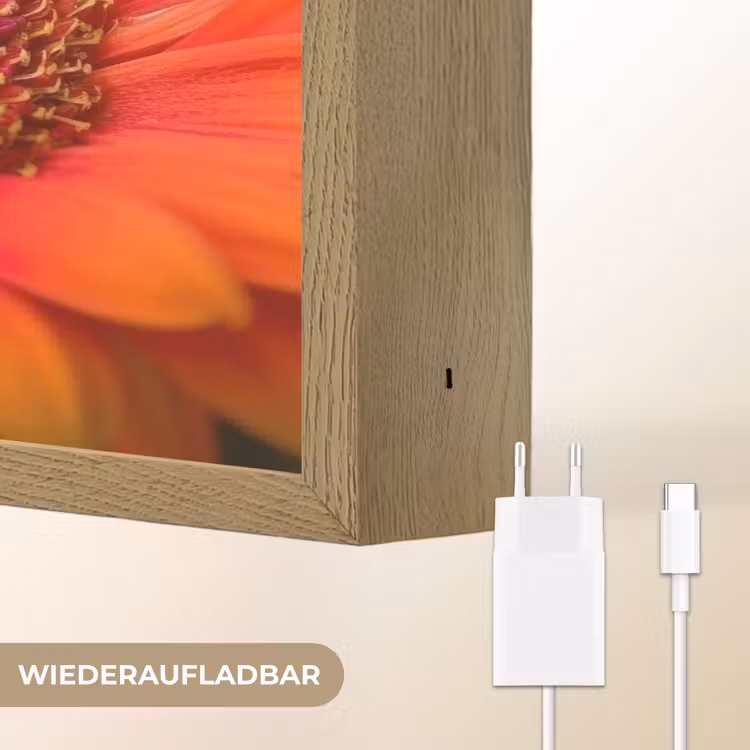 Oranje - Gerbera - Intens Light Box met batterij (Wandlamp) middel -USP_websiteoplaadbaarDE