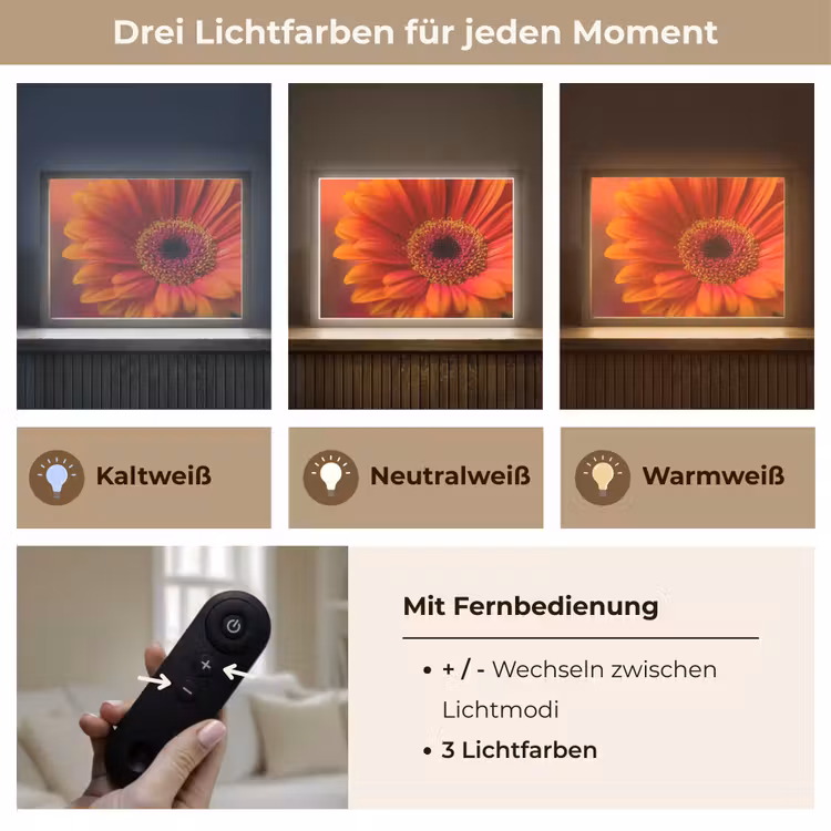 Oranje - Gerbera - Intens Light Box met batterij (Wandlamp) middel -USP_lichtkleurDE