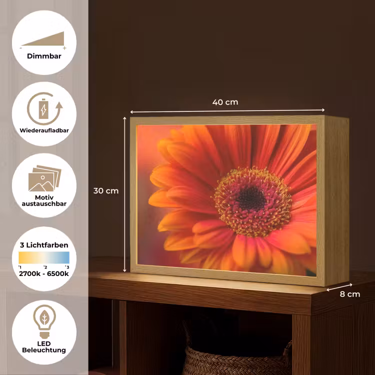 Oranje - Gerbera - Intens Light Box met batterij (Wandlamp) middel -USP_websiteoverzichtDE
