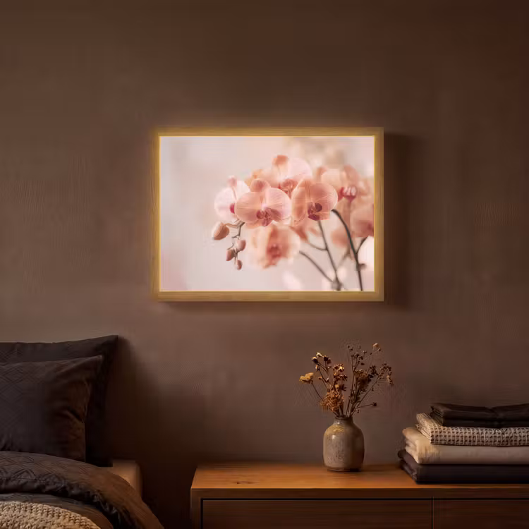 Orchidee - Bloemen - Roze - Bloemblaadjes Light Box met batterij (Wandlamp) middel -sfeer4
