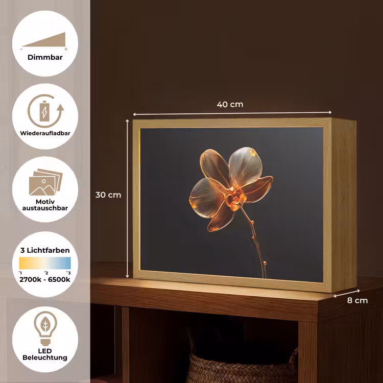 Orchidee - Doorzichtig - Bloem Light Box met batterij (Wandlamp) middel -USP_websiteoverzichtDE