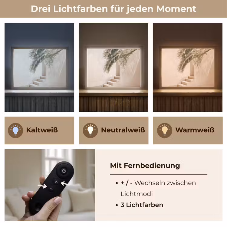 Palmboom - Schaduw - Trap - Beige Light Box met batterij (Wandlamp) middel -USP_lichtkleurDE