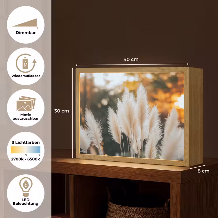 Pampasgras - Pluimen - Sierlijk Light Box met batterij (Wandlamp) middel -USP_websiteoverzichtDE