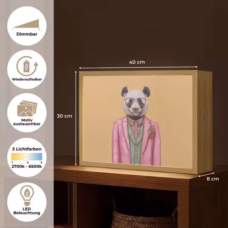 Panda - Pak - Zonnebril - Blauw Light Box met batterij (Wandlamp) middel -USP_websiteoverzichtDE