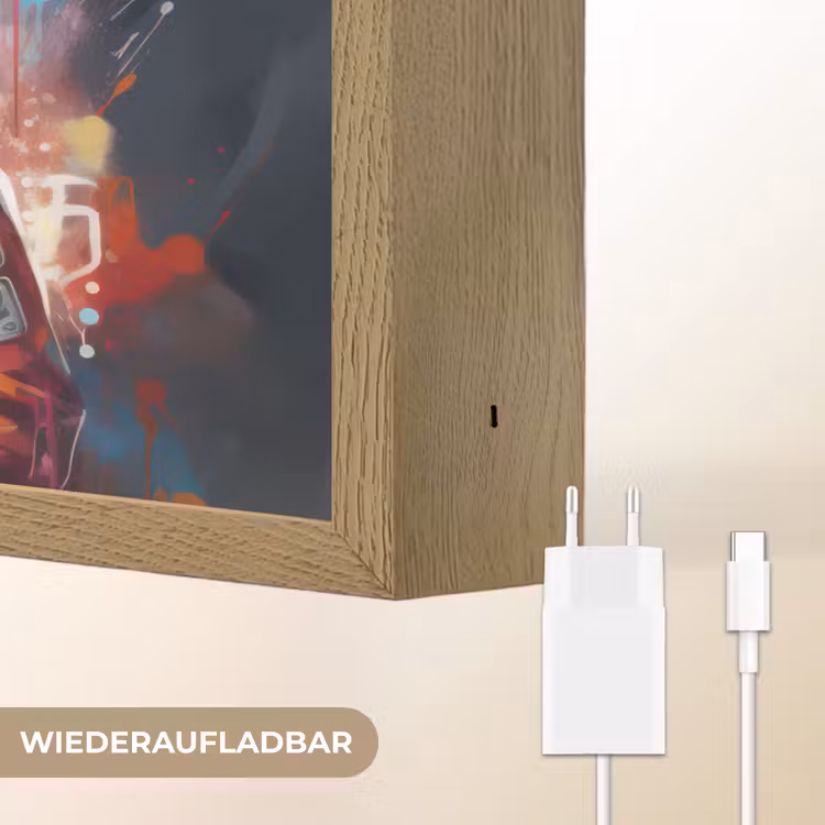 Panda - Jas - Graffiti - Oranje Light Box met batterij (Wandlamp) middel -USP_websiteoplaadbaarDE