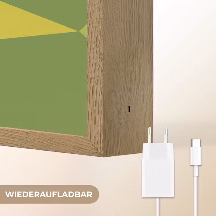 Papegaai - Groen - Snavel - Abstract Light Box met batterij (Wandlamp) middel -USP_websiteoplaadbaarDE
