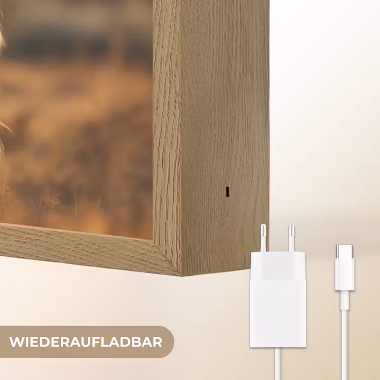 Paard - Bruin - Natuur - Weiland - Dier Light Box met batterij (Wandlamp) middel -USP_websiteoplaadbaarDE