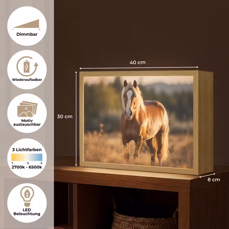 Paard - Bruin - Natuur - Weiland - Dier Light Box met batterij (Wandlamp) middel -USP_websiteoverzichtDE