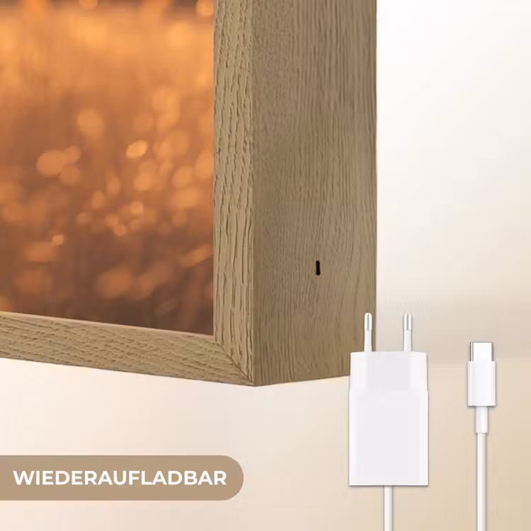 Paard - Natuur - Dier - Bruin - Dieren portret Light Box met batterij (Wandlamp) middel -USP_websiteoplaadbaarDE