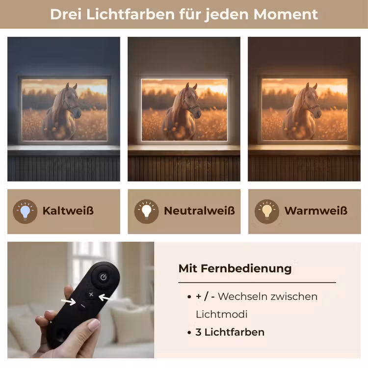 Paard - Natuur - Dier - Bruin - Dieren portret Light Box met batterij (Wandlamp) middel -USP_lichtkleurDE