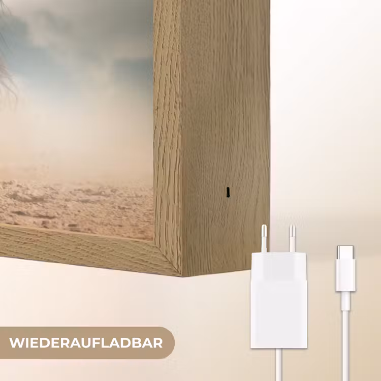 Paard - Dieren - Bruin - Natuur Light Box met batterij (Wandlamp) middel -USP_websiteoplaadbaarDE