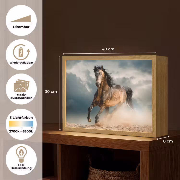 Paard - Dieren - Bruin - Natuur Light Box met batterij (Wandlamp) middel -USP_websiteoverzichtDE