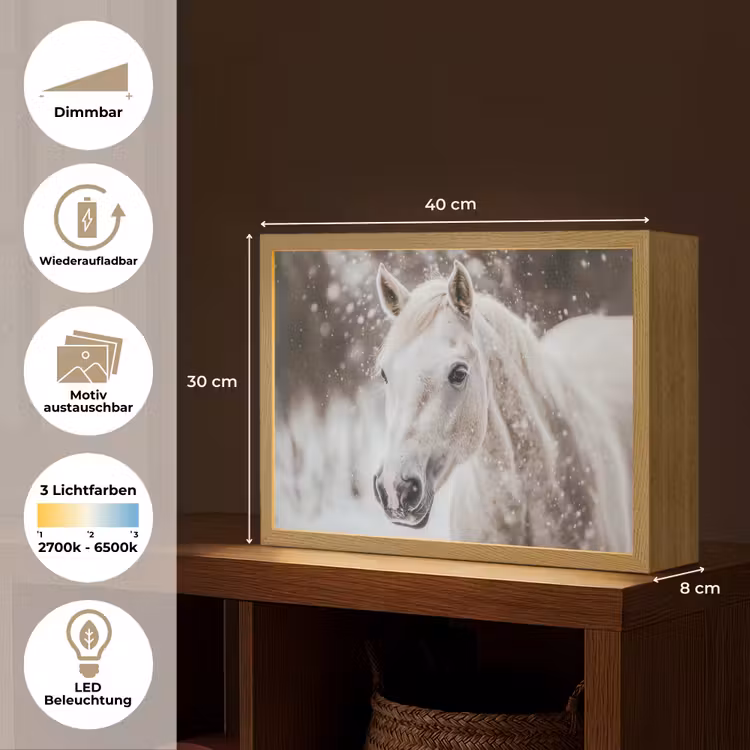 Paard - Wit - Winter - Natuur - Sneeuw - Dieren Light Box met batterij (Wandlamp) middel -USP_websiteoverzichtDE