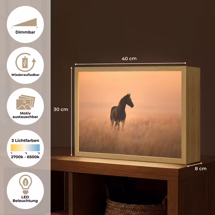 Paard - Grasveld - Zonsondergang Light Box met batterij (Wandlamp) middel -USP_websiteoverzichtDE