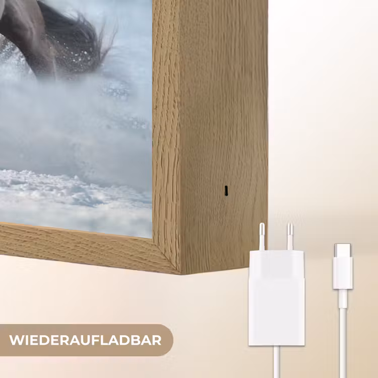 Paarden - Winter - Dieren - Natuur - Sneeuw Light Box met batterij (Wandlamp) middel -USP_websiteoplaadbaarDE